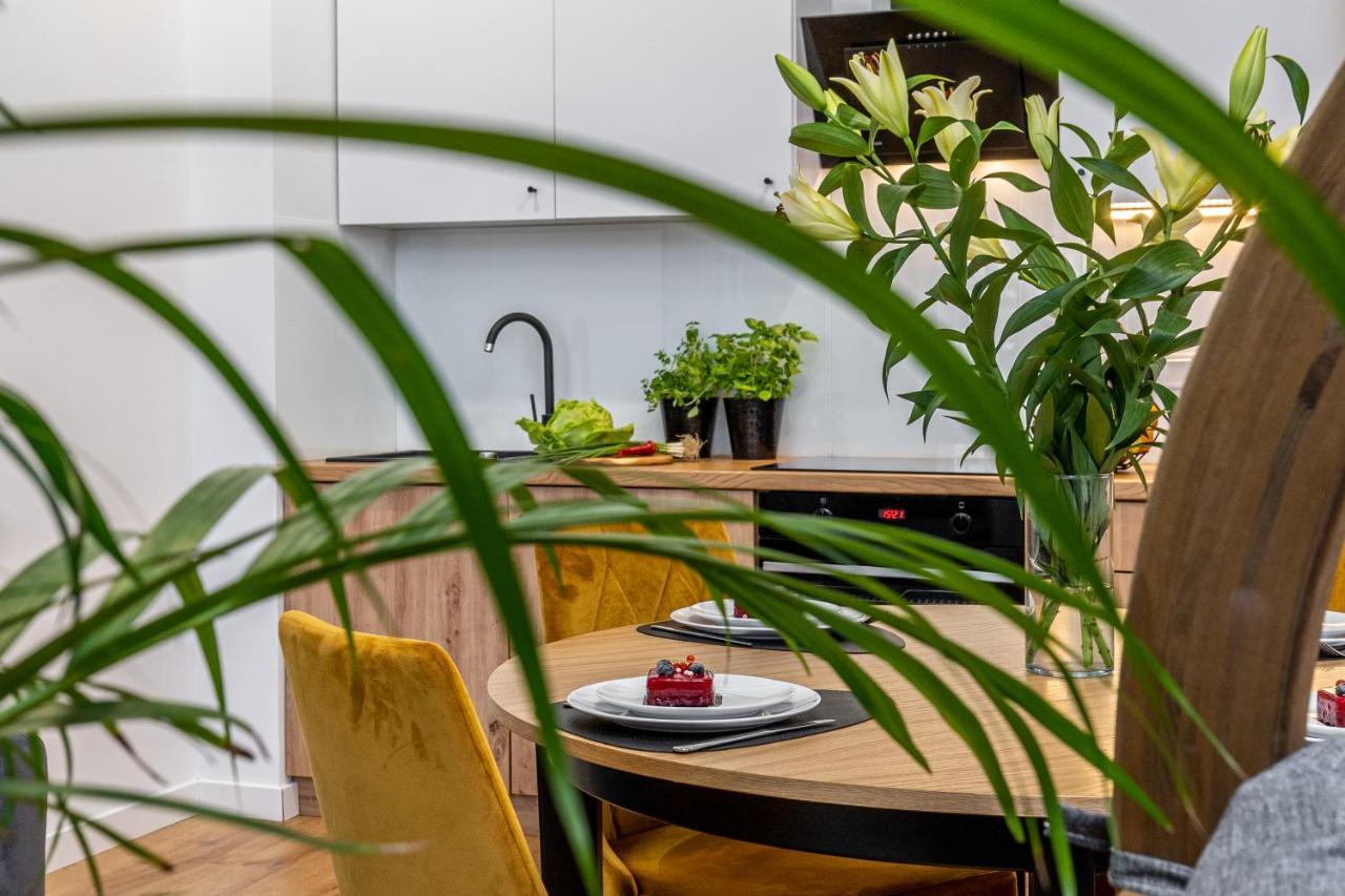 Beautiful Cracow Apartments By Cozyplace 克拉科夫 外观 照片
